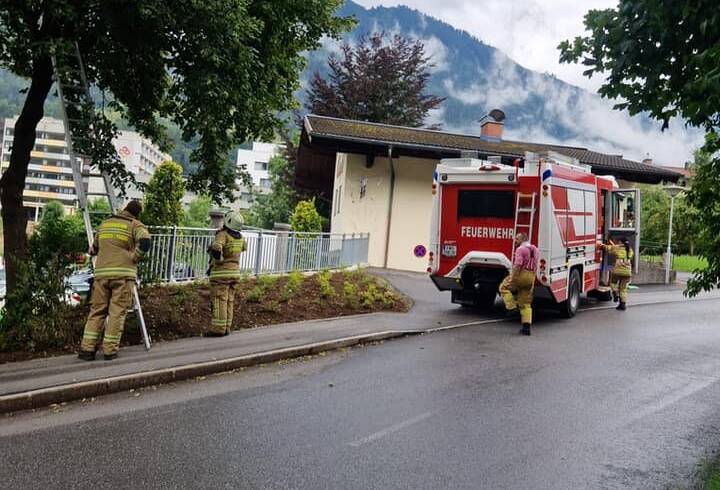 Tierrettung Baderstrasse